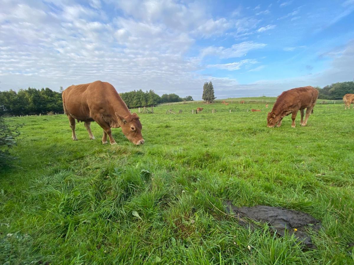 K 357 - Low Budget Hotel In Ratekau Bei Luebeck Eksteriør billede